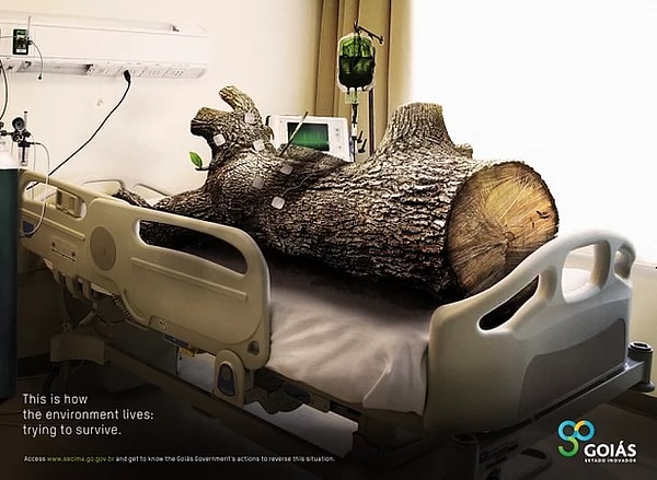 12. Вот в каком состоянии находится дикая природа: она постоянно пытается выжить