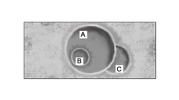 Расположите эти кратеры в порядке образования: от самого первого к последнему