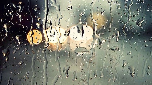 При повреждении какой части головного мозга человек перестает понимать юмор?