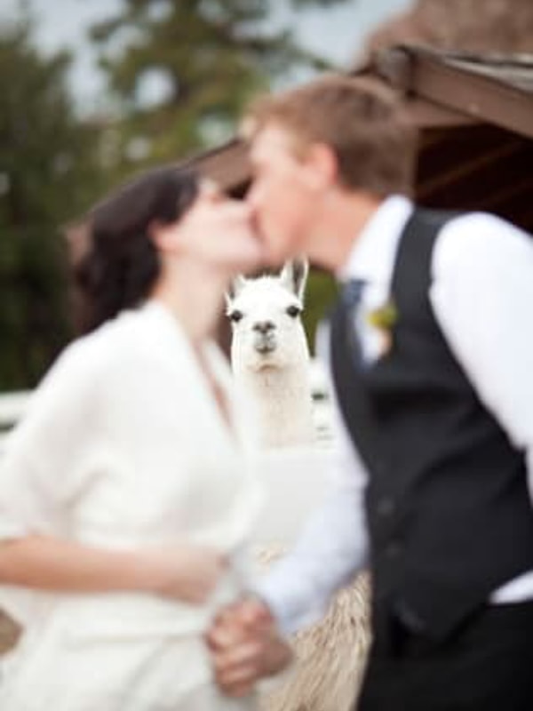 12. Момент, когда-то осознал, что потерял все шансы заполучить невесту