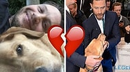 Köpeği Woody'nin Ölümü Üzerine Duygularını En Saf Haliyle Belirten Tom Hardy'nin Mektubu