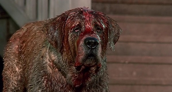 15. "Куджо" 1983 год