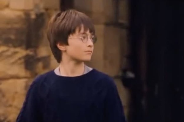 9. И, наконец, последний вопрос: с кем говорит Гарри в этой сцене?