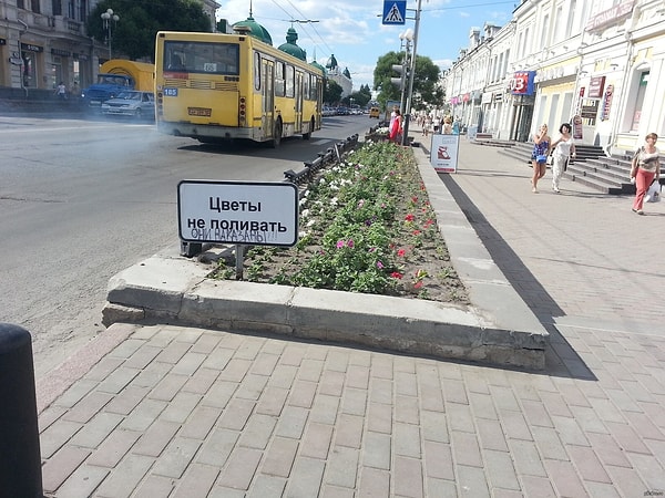 11. Просили же не поливать цветы!? Что же вы наделали :(