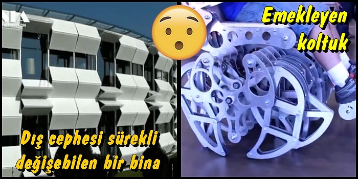 İlginçlik Katsayısı Bir Hayli Yüksek, Kendini Hayranlıkla İzlettiren 19 Görüntü