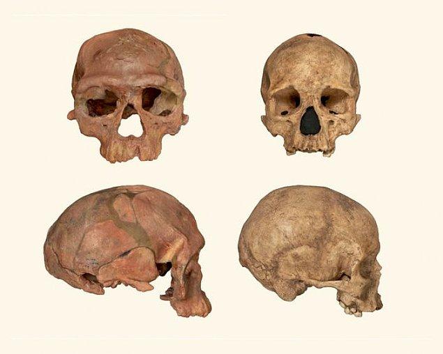 Ancak fosillerdeki farklılıklar göz önüne alındığında Homo sapiens bir evrim sürecine girip vücutları buna göre şekillenmişti.