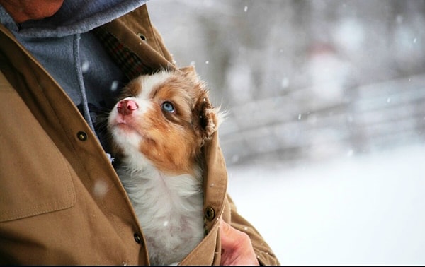 4. Доброта - это редкое и ценное качество. Делись ею!