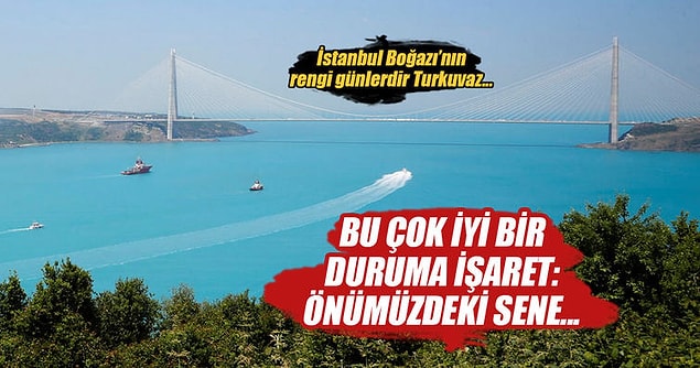 Evet, birkaç gündür Boğaz hattı turkuaz renginde ama uzmanlara göre bu öyle de korkulacak bir durum değil.