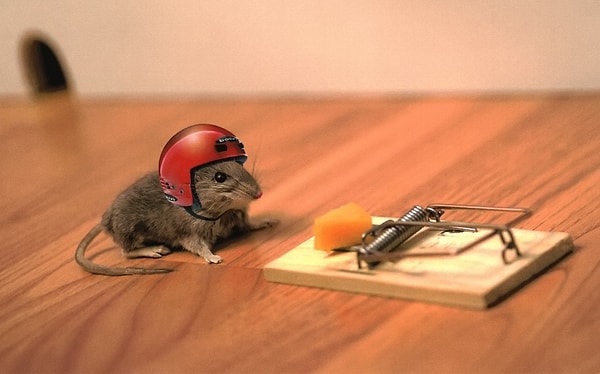 26. Так, черт побери, рискуй!