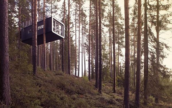 2. Tree Hotel, İsveç