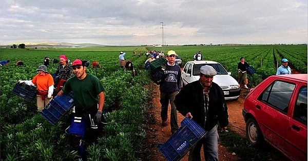 5. Семьсот человек во главе с Хуаном Мануэлем Санчесом Гордийо на протяжении тринадцати дней отказывались от пищи, чтобы привлечь внимание к андалузской глубинке, из которой начиная с 60-х годов народ массово уезжал, спасаясь от голода и безработицы.