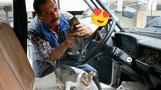 Gerçek Bir Hayvansever: Otomobilini Kediler İçin Yuvaya Dönüştüren Tahir Çeven ile Tanışın!