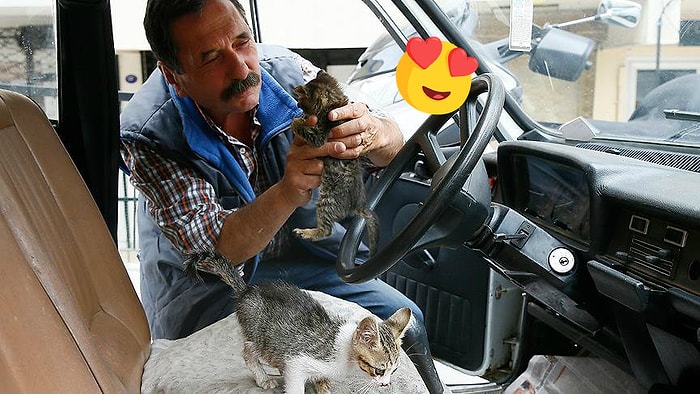 Gerçek Bir Hayvansever: Otomobilini Kediler İçin Yuvaya Dönüştüren Tahir Çeven ile Tanışın!