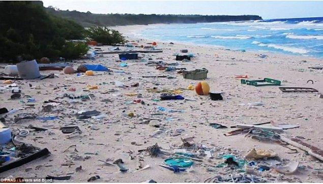 Güney Pasifik’teki Henderson Adası’nda yaklaşık 17 ton ağırlığa sahip 38 milyon atık madde bulundu.