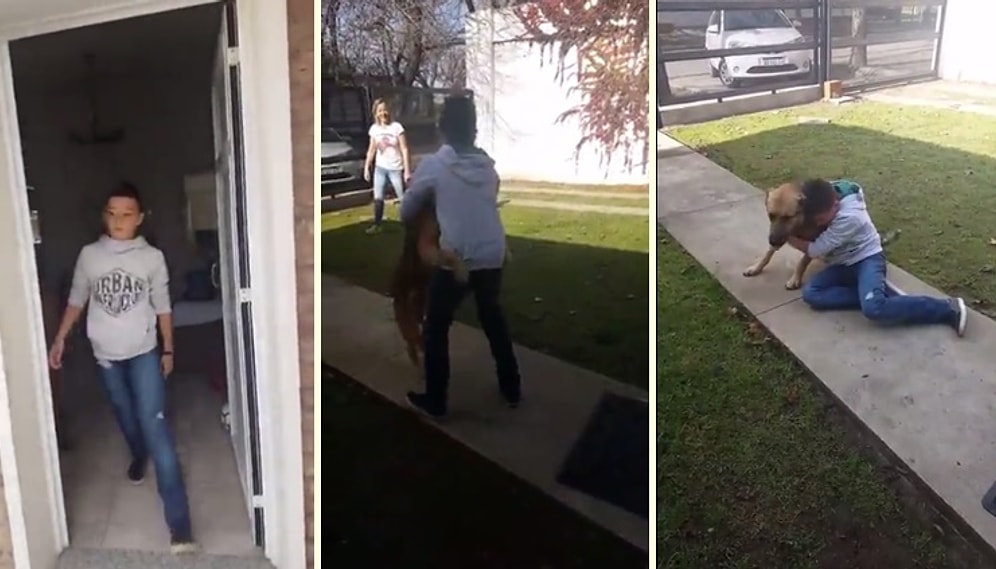 8 Aydır Kayıp Olan Köpek Dostuna Kavuşan Çocuğun Göz Yaşlarına Hakim Olamadığı Anlar