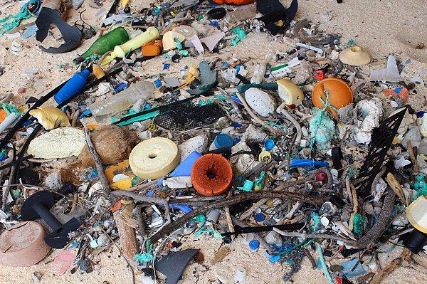 Adadaki yengeçlerin boş kozmetik atıklarını yuva gibi kullandıkları tespit edilirken, ölü deniz kaplumbağaları çöpe karışmış halde bulundu.