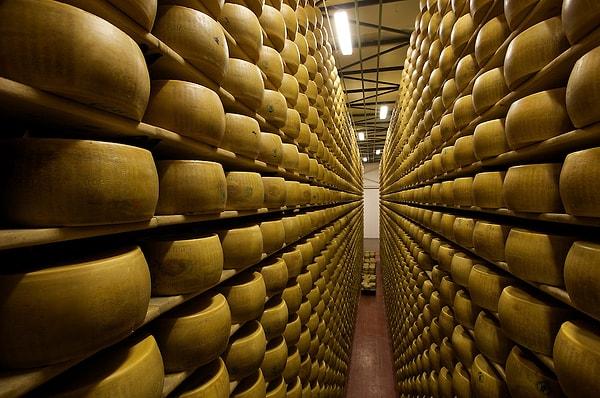 17. İtalya'da parmesan peyniri için banka kurulmuş ve hatta bu banka tam 3 kez soyulmuştur.