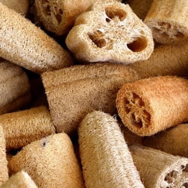 8. Грубые мочалки делают из... тыквы.