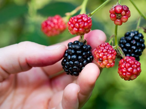 3. Сейчас я бы съел...