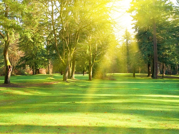 4. Куда присядем?