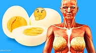 Her Gün 2 Yumurta Yemeye Başlayınca Vücudunuzda Neler Olacağını Biliyor musunuz?