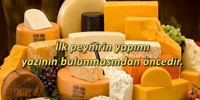 Sofralarımızın Vazgeçilmezi Peynir İle İlgili Birçoğunu İlk Defa Duyacağınız 17 İlginç Gerçek