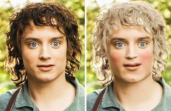 1. Frodo Baggins