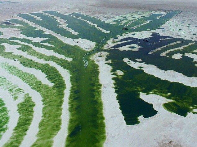 4. Çin'in Qinghai bölgesinde bulunan Chaka tuz gölündeki kayıklar yollarında devam diyor.