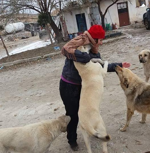 Bu vahşeti gerçekleştirenlerin cezasız kalmamasını umuyor ve Ayten Beşevli'nin sesinin yetkililer tarafından duyulmasını temenni ediyoruz...
