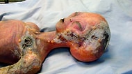 CIA'in Roswell'e Düşen UFO'daki Uzaylılara Otopsi Yaptığı İddiasının Sır Perdesi Aralandı!