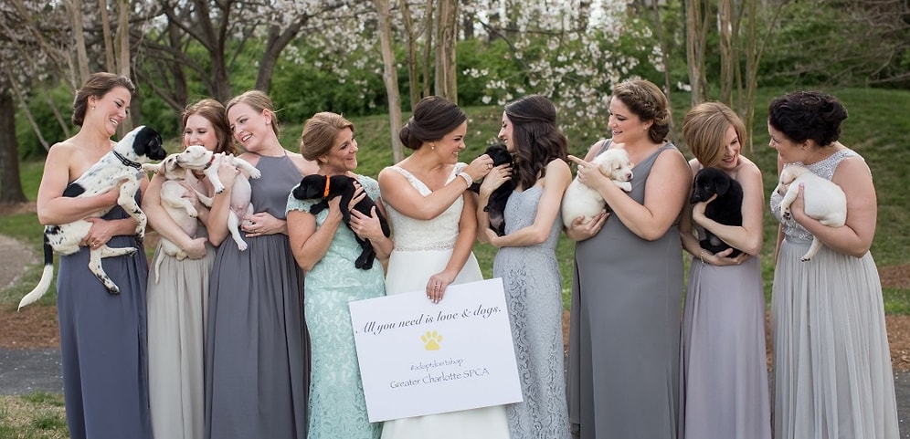 Большинство людей добры и милосердны, и эти 12 фото тому доказательство