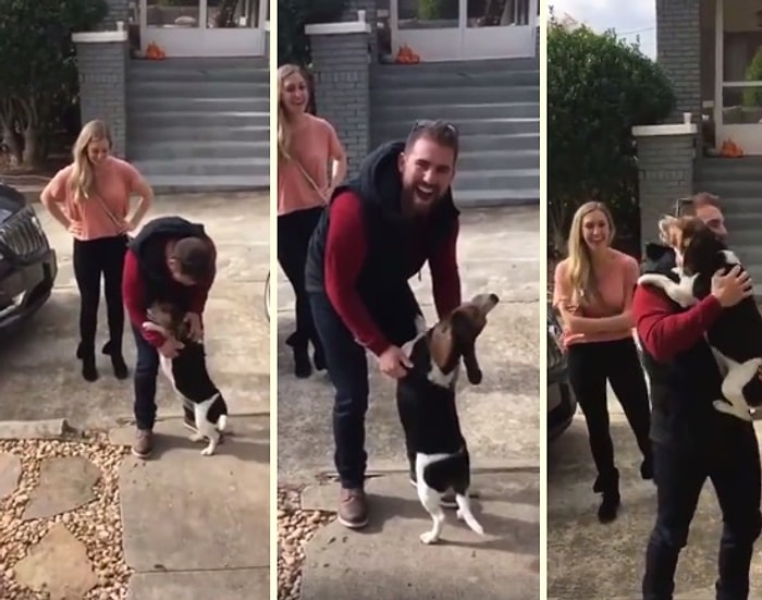 Uzun Süredir Görmediği Dostuna Kavuşunca Sevinçten Kendini Kaybeden Köpek