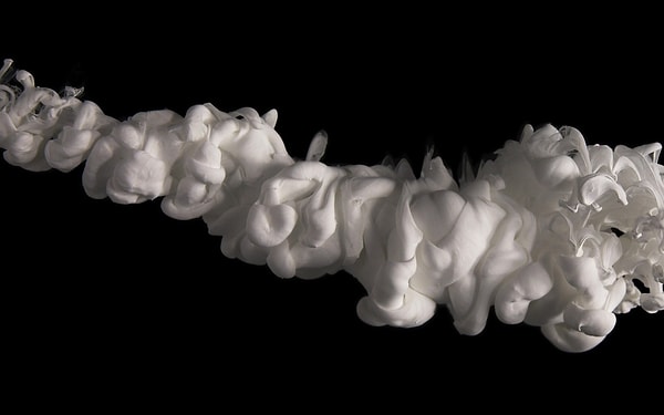 5. Что изображено на фотографии?