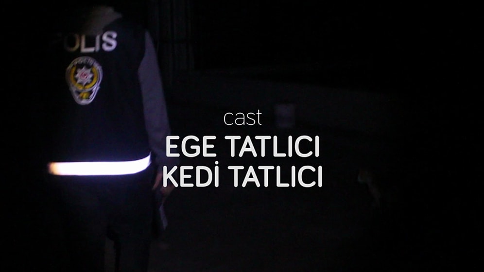 Kediyle Baskına Gitmek