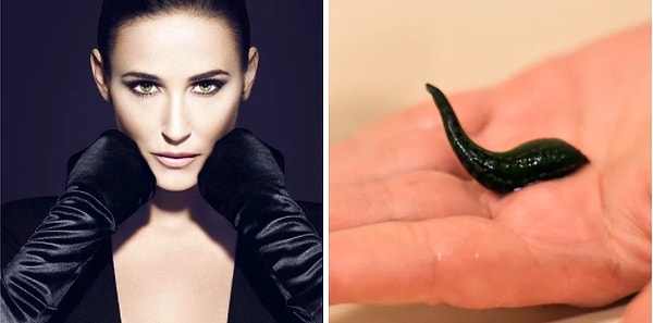 12. Demi Moore, sarkan cildini toparlatmak için estetik cerrahiden değil, sülüklerden faydalanıyor!