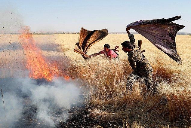 10. Rakka'da süren çatışmalarda ise YPG'li militanlar yangın çıkan bir buğday tarlasını söndürmekte, 15 Haziran.