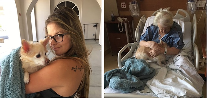 Anneannesi Görsün Diye Çocuklu Kadın Gibi Davranarak Köpeğini Gizlice Hastahaneye Sokan Kız