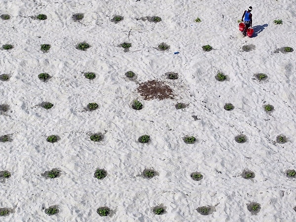 16. Большая часть населения Индии не имеет доступа к чистой воде. На фотографии человек тащит два ведра, которые он наполнил водой в реке Ганг (город Аллахабад).