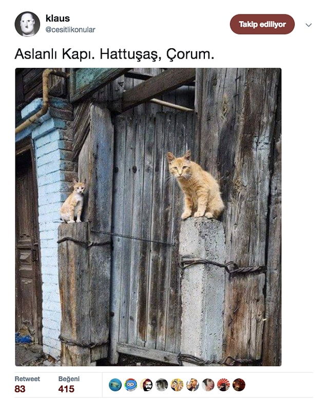 4.