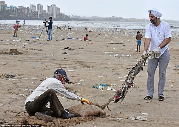 5. Люди работали в перчатках, использовали лопаты или, на худой конец, убирали мусор голыми руками.