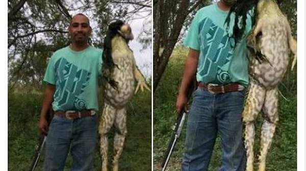 1. Гигантская лягушка