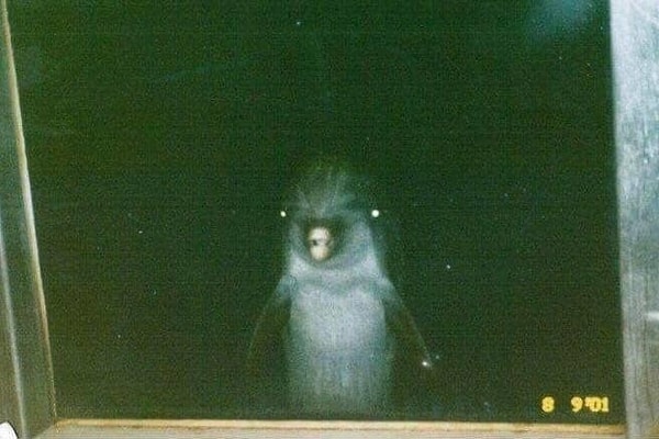 3. Ну, вы поняли!