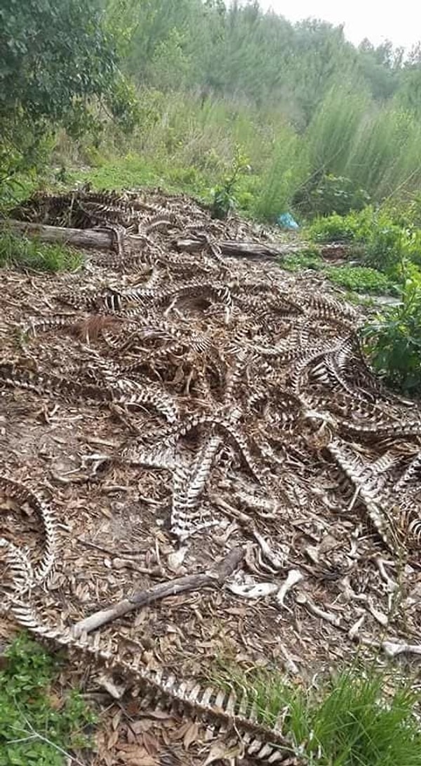 17. Ну НЕЕЕЕЕЕЕЕЕЕЕЕЕЕЕЕЕЕЕЕТ же!