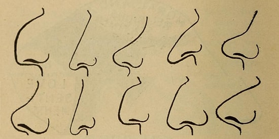 Burun Şeklinize Göre Karakterinizi Söylüyoruz!