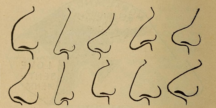 Burun Şeklinize Göre Karakterinizi Söylüyoruz!