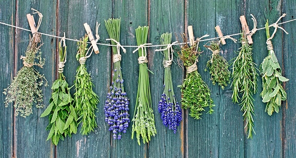 11. На юге России в купальскую ночь были распространены ритуальные бесчинства.