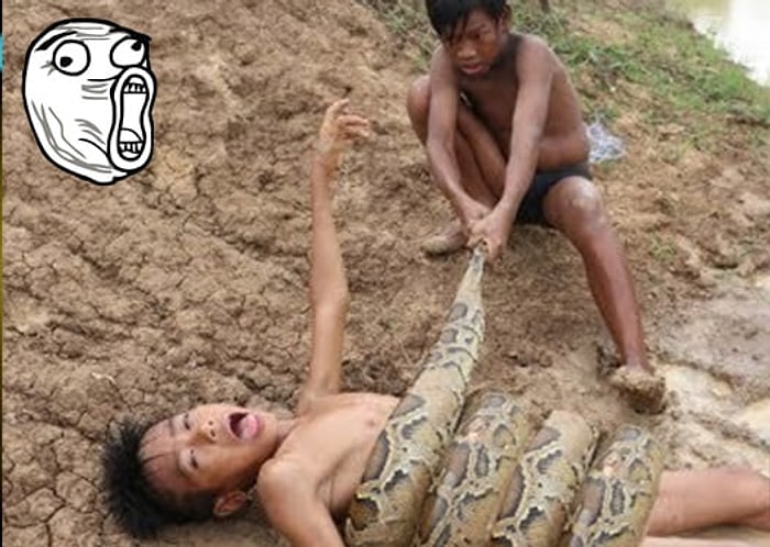 Buldukları Devasa Yılanla Korkusuzca Oyun Oynayan Çocuklar