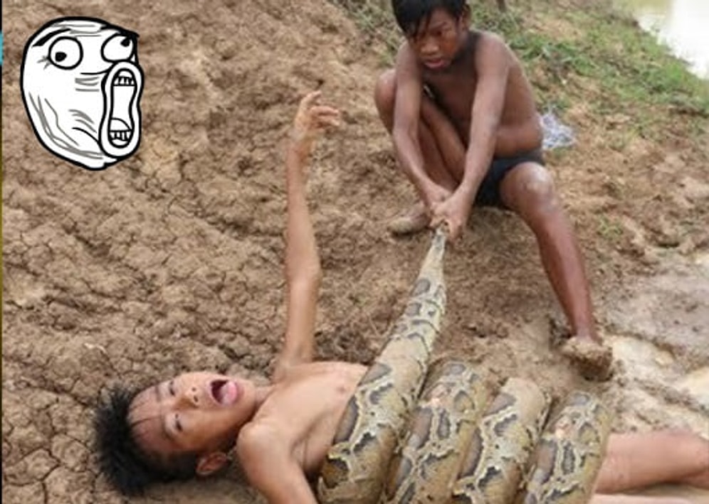 Buldukları Devasa Yılanla Korkusuzca Oyun Oynayan Çocuklar