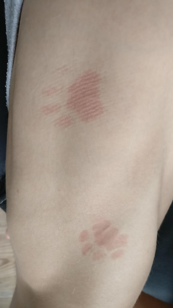 9. Что за огромная кошка у тебя, чувак?