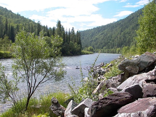 Вы из Сибири!